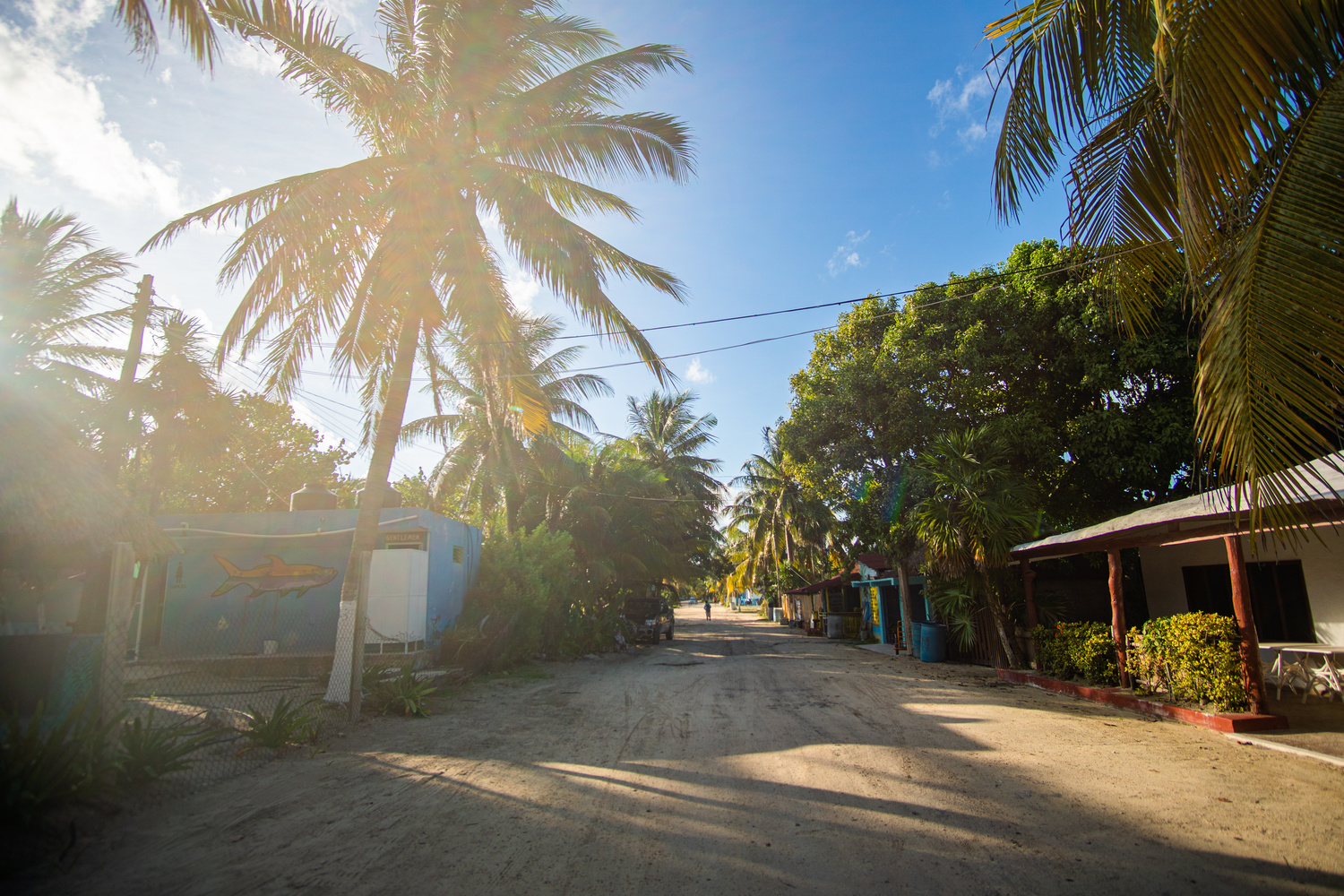 Punta allen