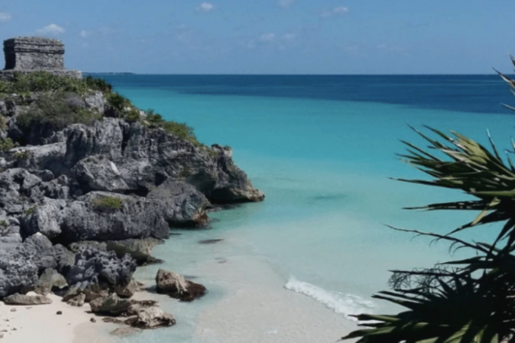 Les Sargasses au Mexique et sur les plages du Yucatan en 2023