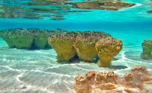 visite bacalar en bateau Riviera maya au Mexique