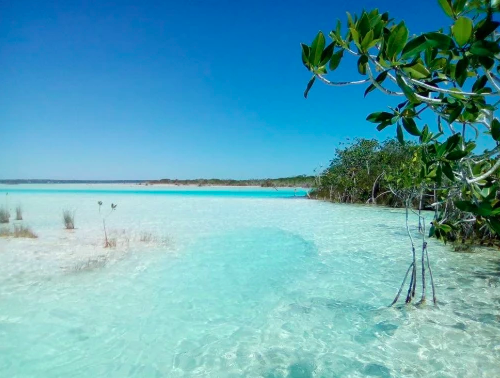 visite bacalar en bateau 