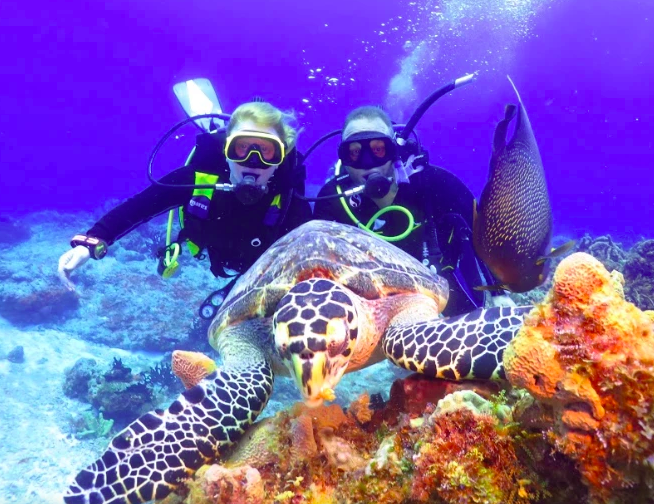 plongée cozumel