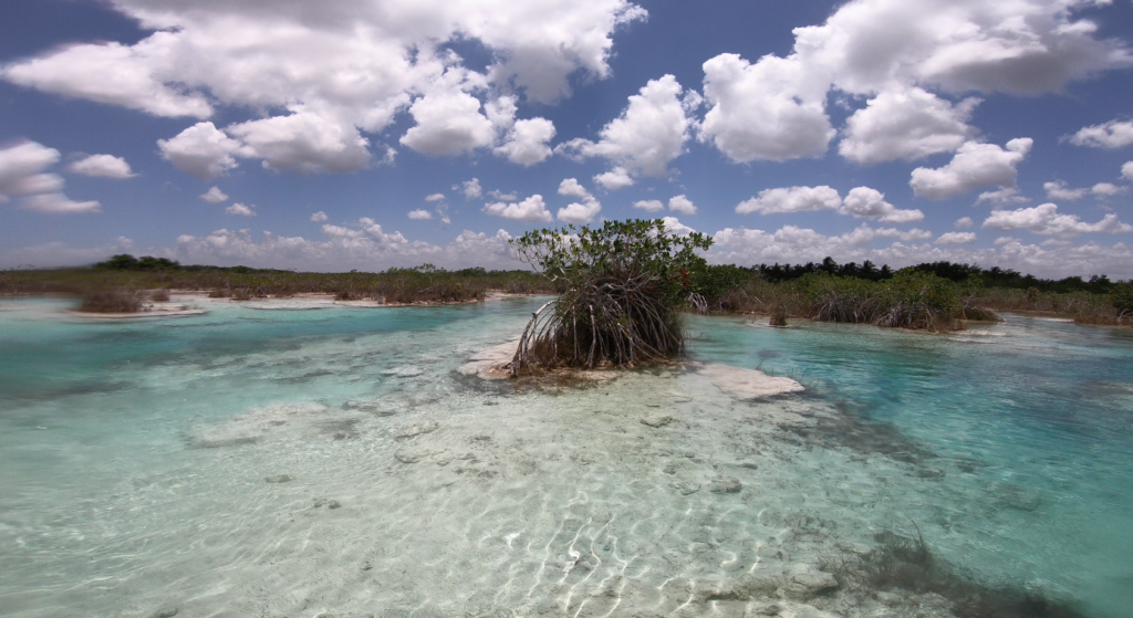 los rapidos bacalar tour bateau Riviera maya au Mexique