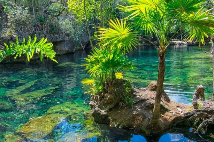 cenote tulum Riviera maya au Mexique