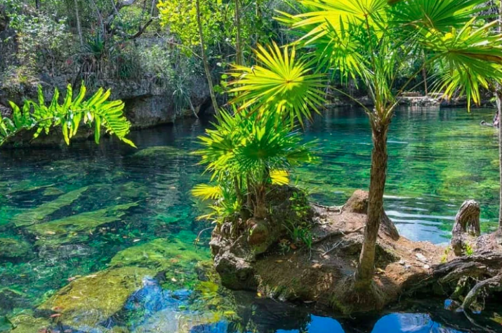 cenote tulum