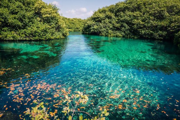 visite cénote secretoo Riviera maya au Mexique