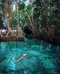 Celestun ojo de agua baignade