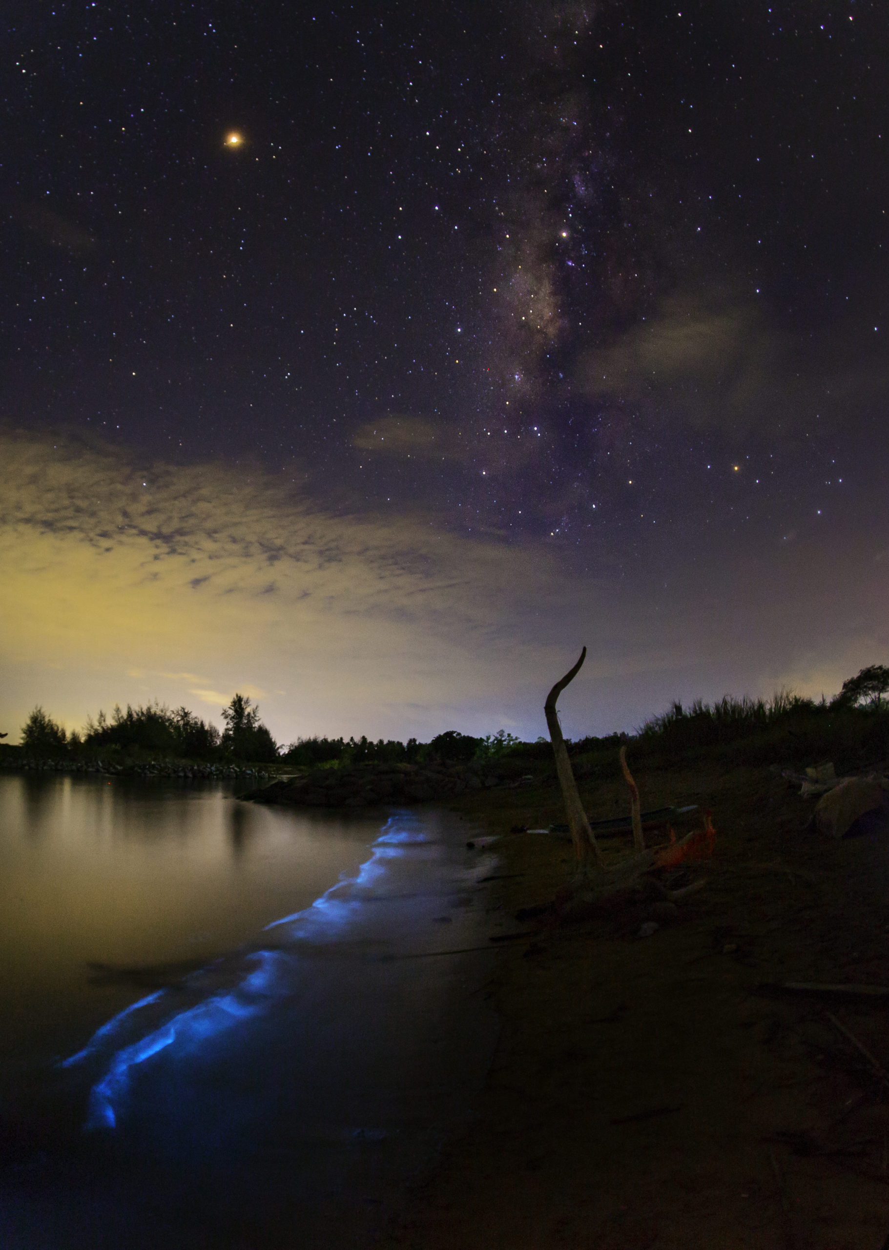 Bioluminescence Holbox guide francophone