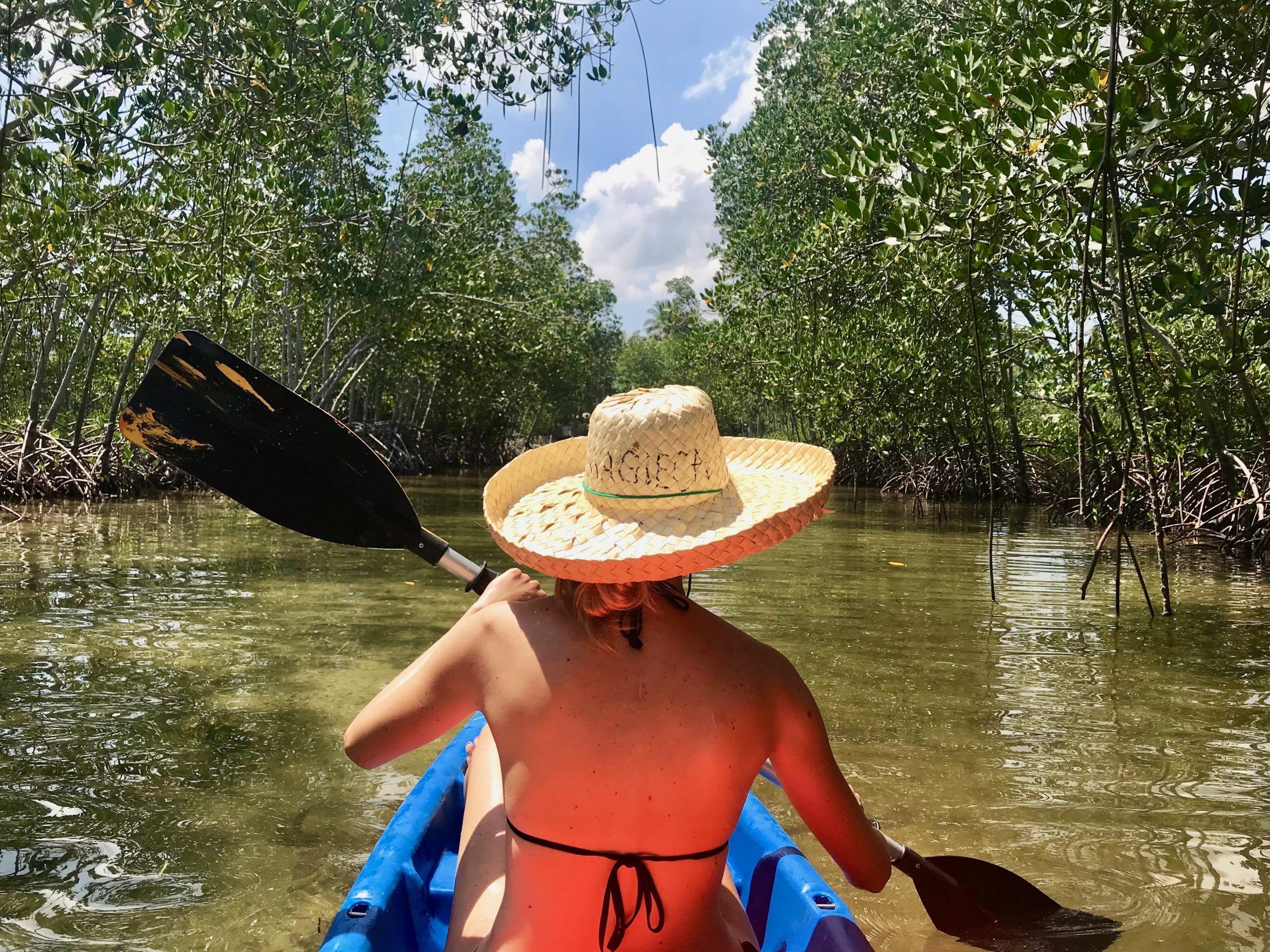 Balade dans la mangrove holbox