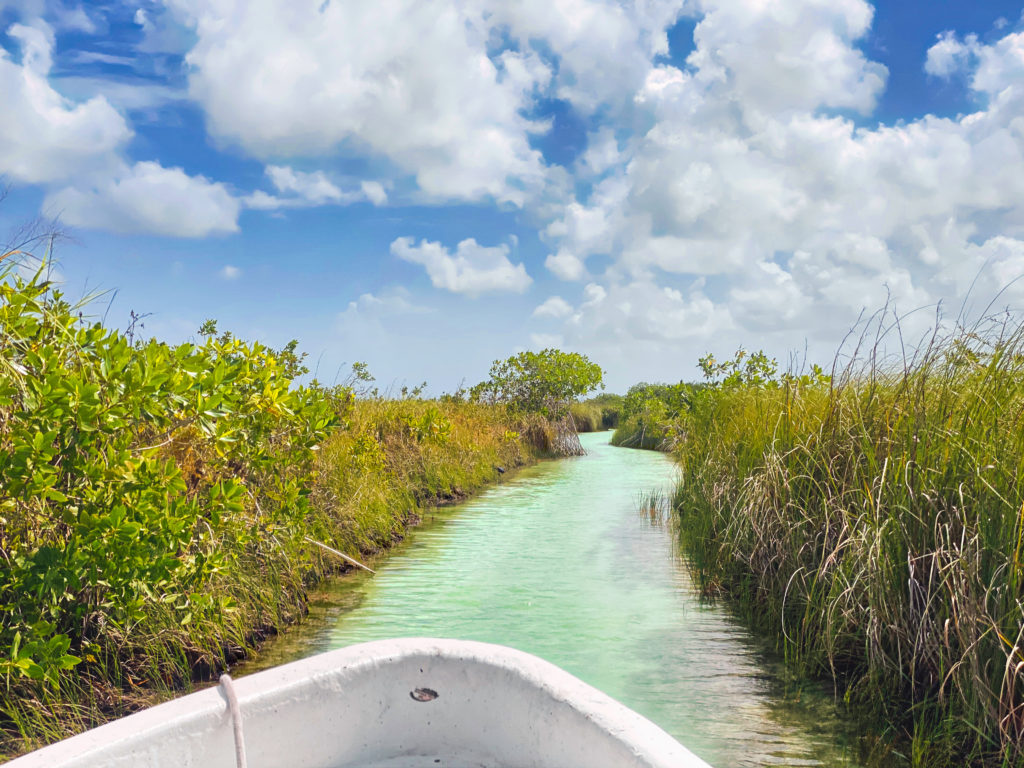 Que faire au Quintana Roo ?