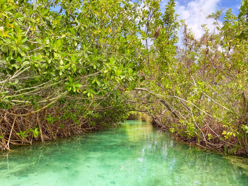 Visiter la Riviera Maya : nos 7 lieux coup de cœur