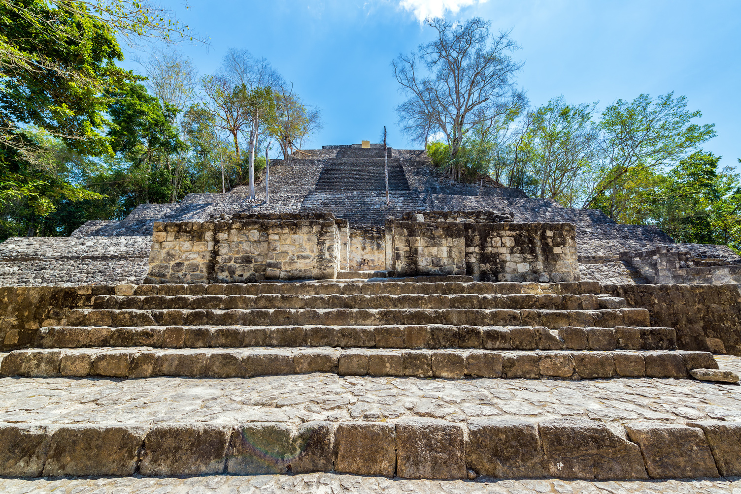 Découvrir Calakmul au Mexique