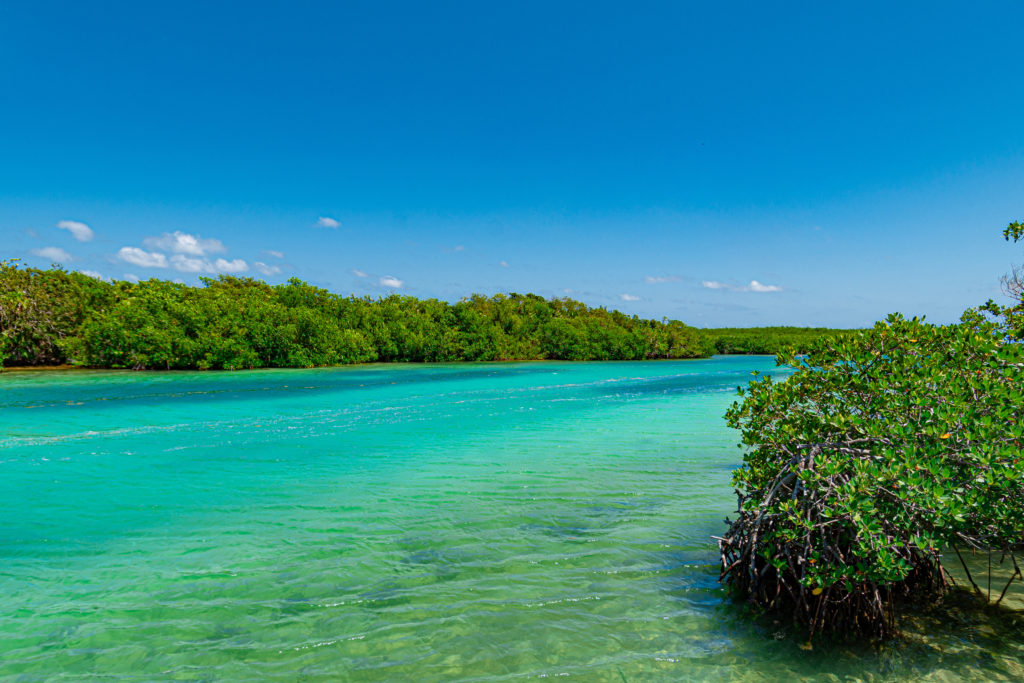 Cancun Rio nizuc