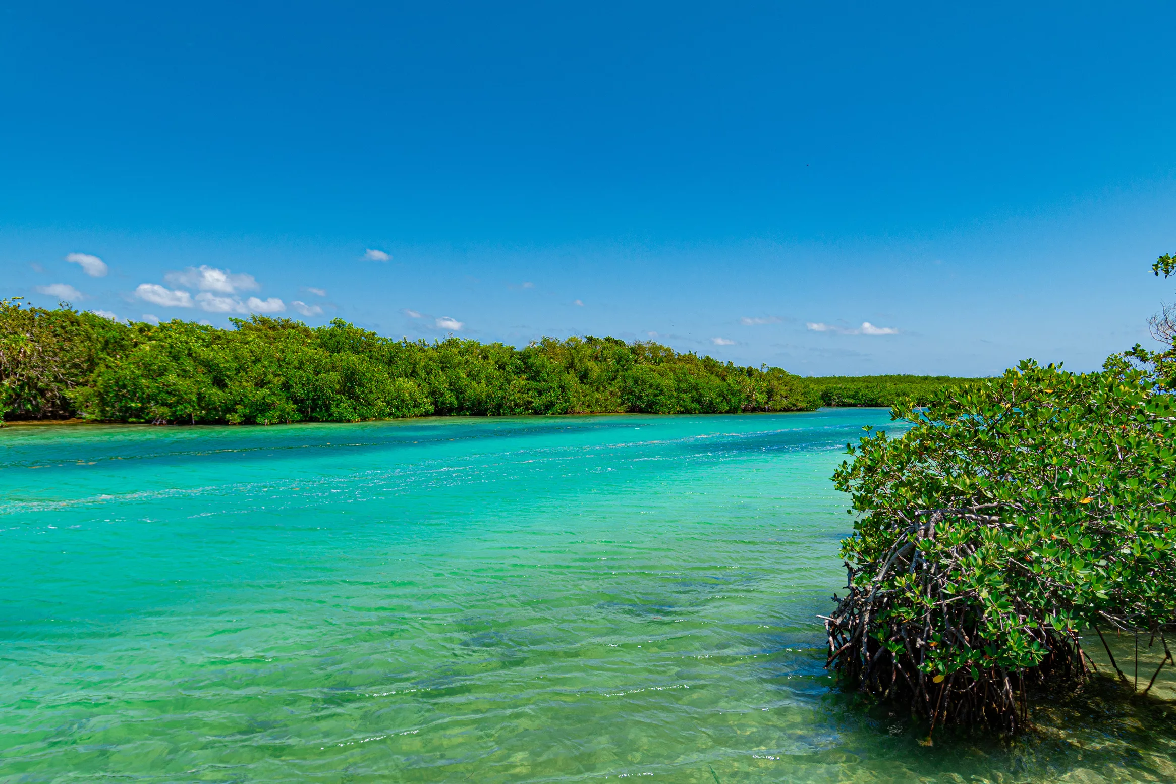 Rio Nizuc à Cancun