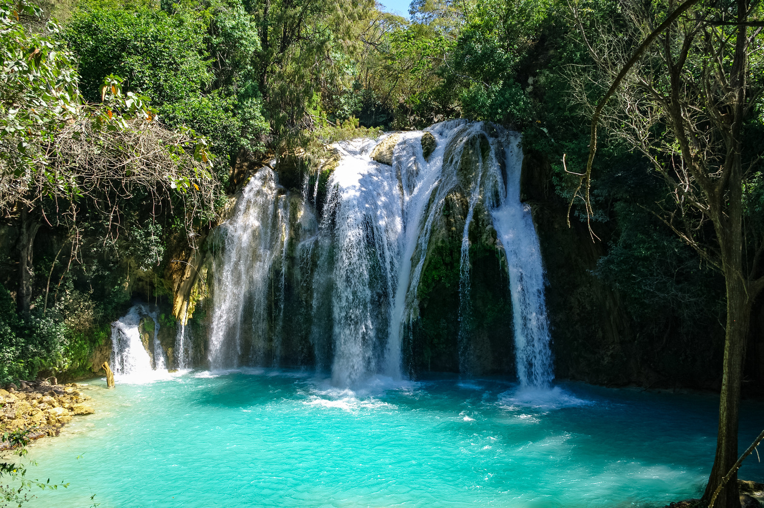 Cascade el chiflon