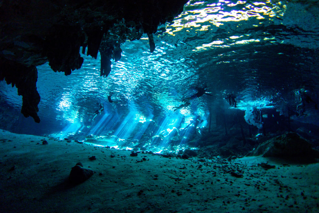 Les 7 plus beaux cénotes de la Riviera maya