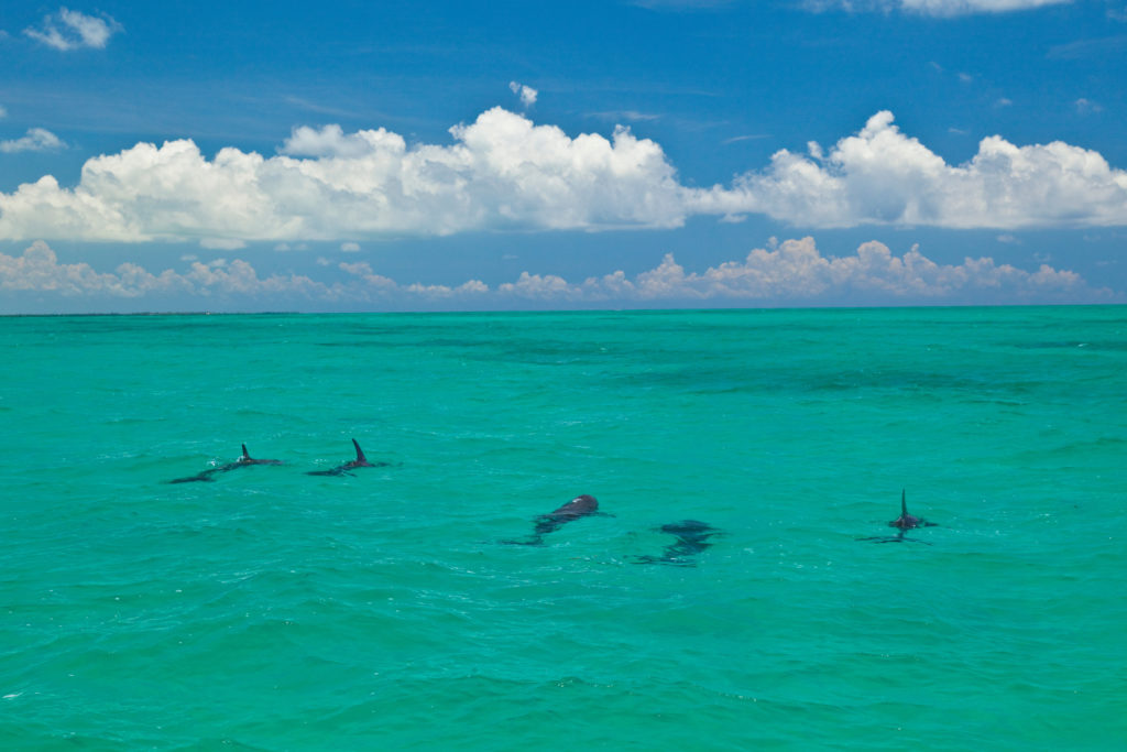 Riviera maya au Mexique Sian kaan