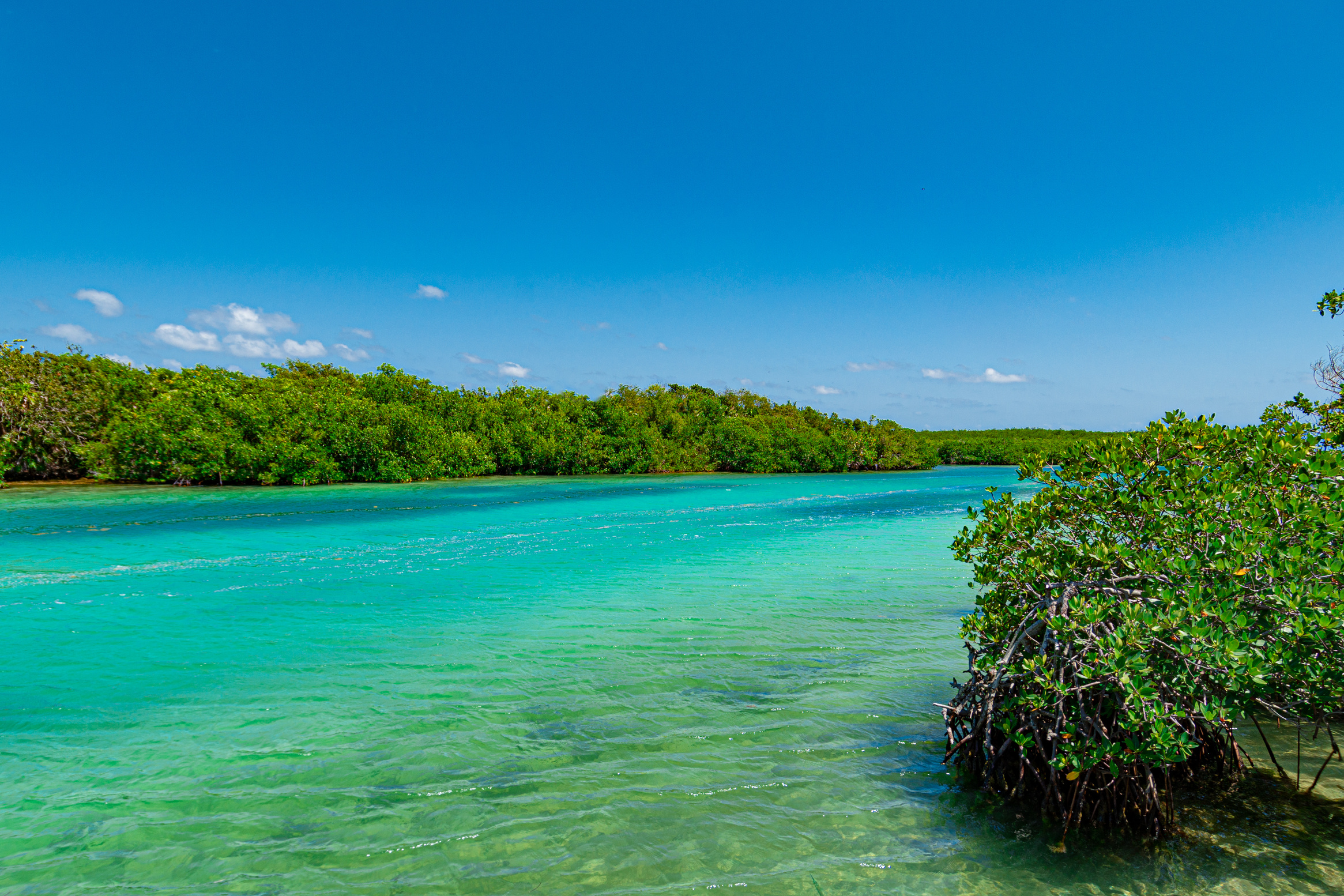 Cancun Nizuc Road trip au Yucatán de 2 semaines