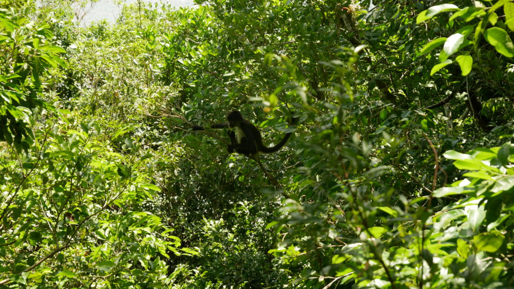 Visite chez l'habitant Coba