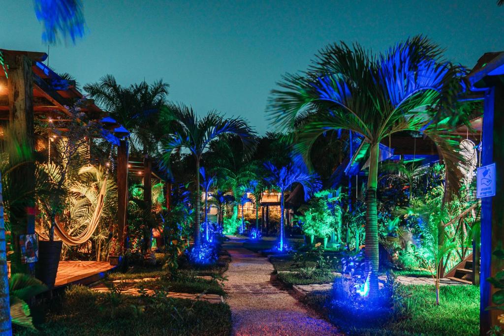 Blue Bird Bacalar