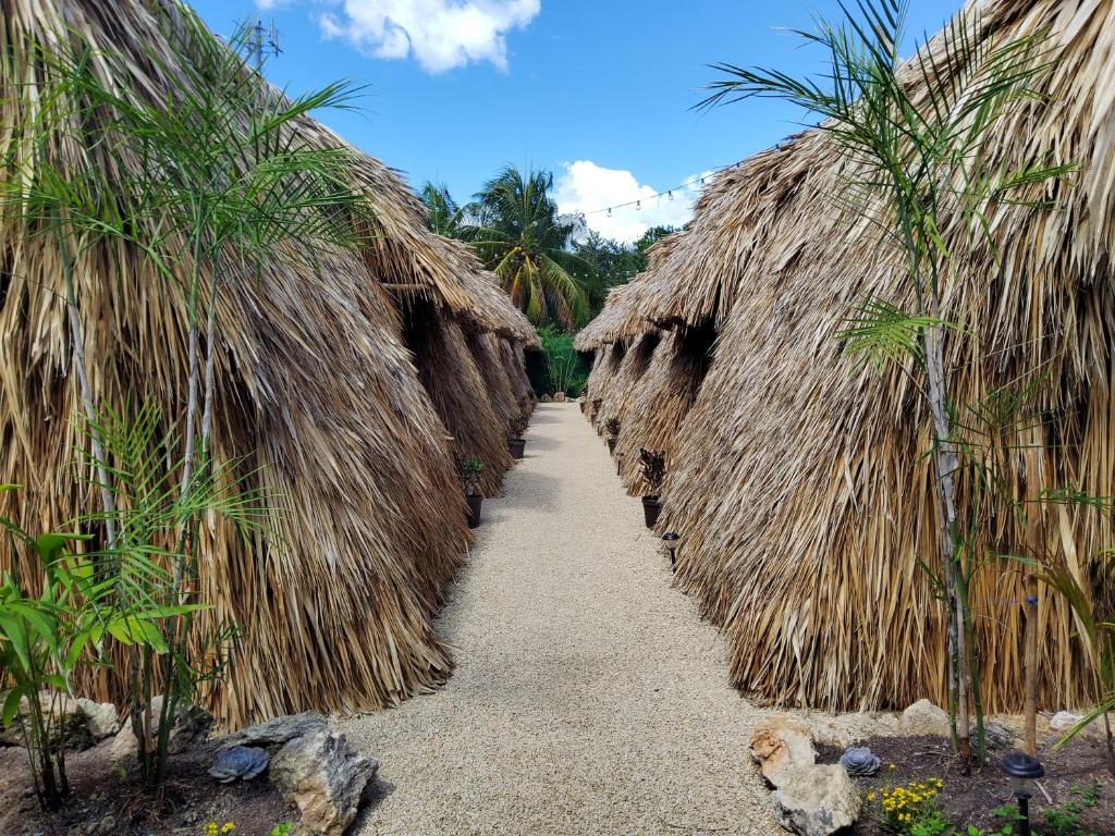 Que faire à Bacalar en 2025 : Guide des meilleures activités à faire ou à voir !