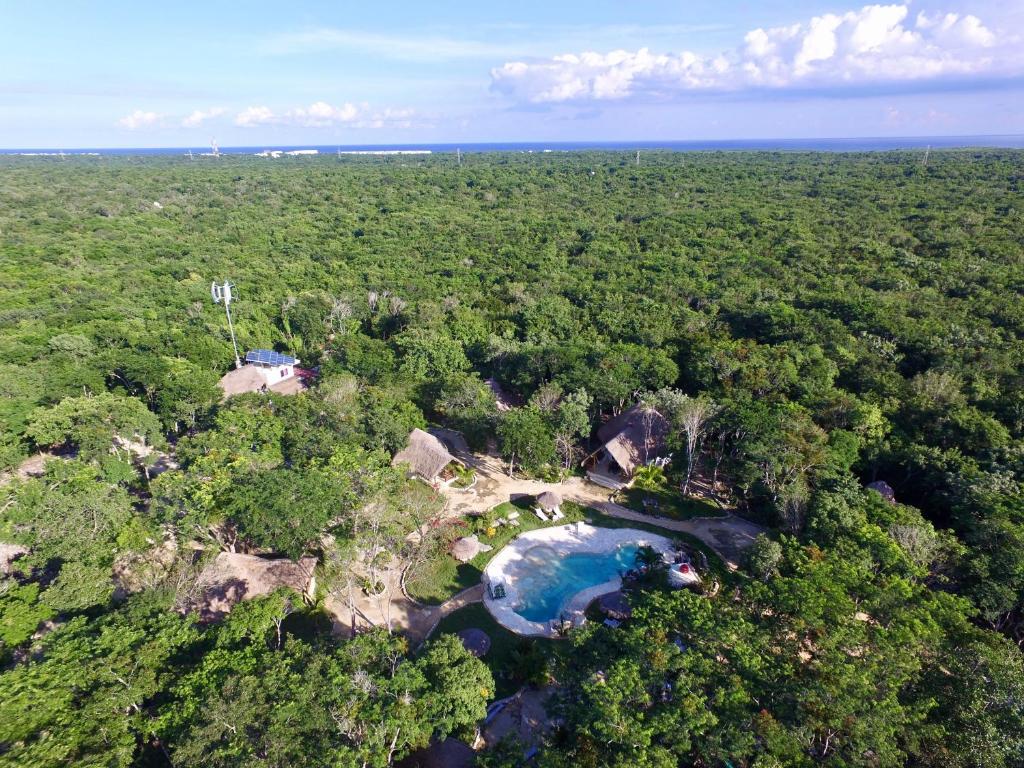 Morena Boutique Hotel Ecoliving 