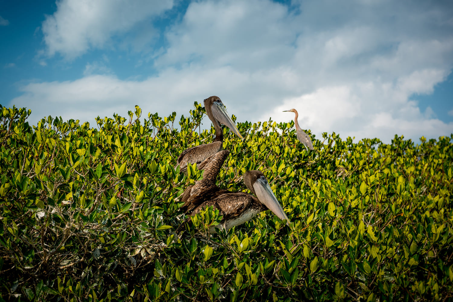 Que visiter à Bacalar : top 10 des activités à faire ou à voir !