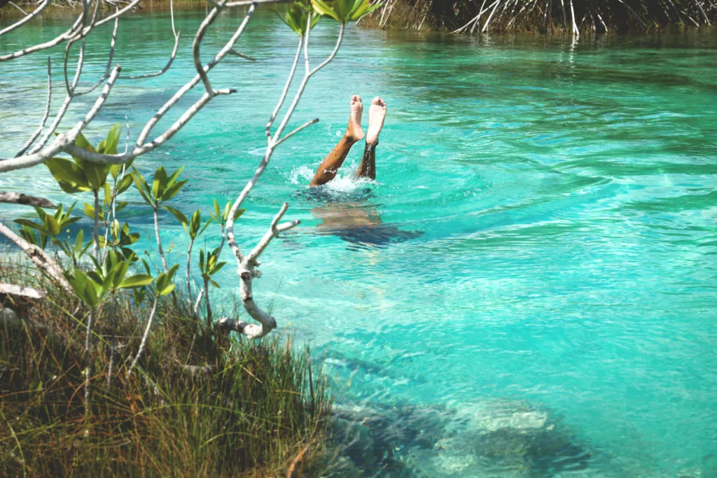 Lagune de Bacalar sans sargasses