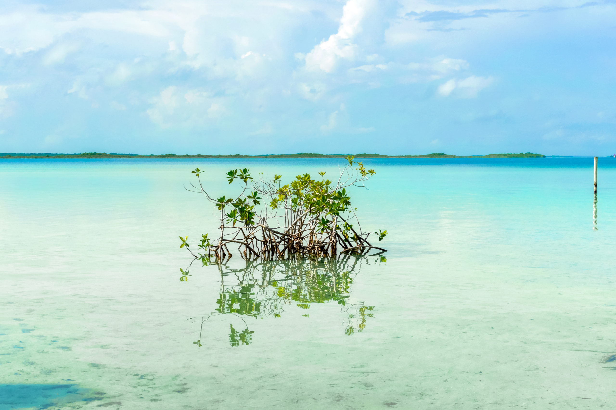 Que visiter à Bacalar : top 10 des activités à faire ou à voir !