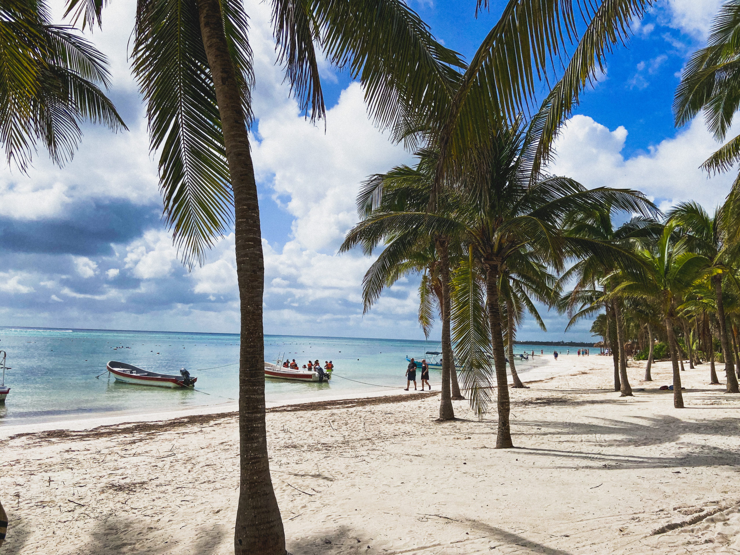 Nager avec les tortues Akumal