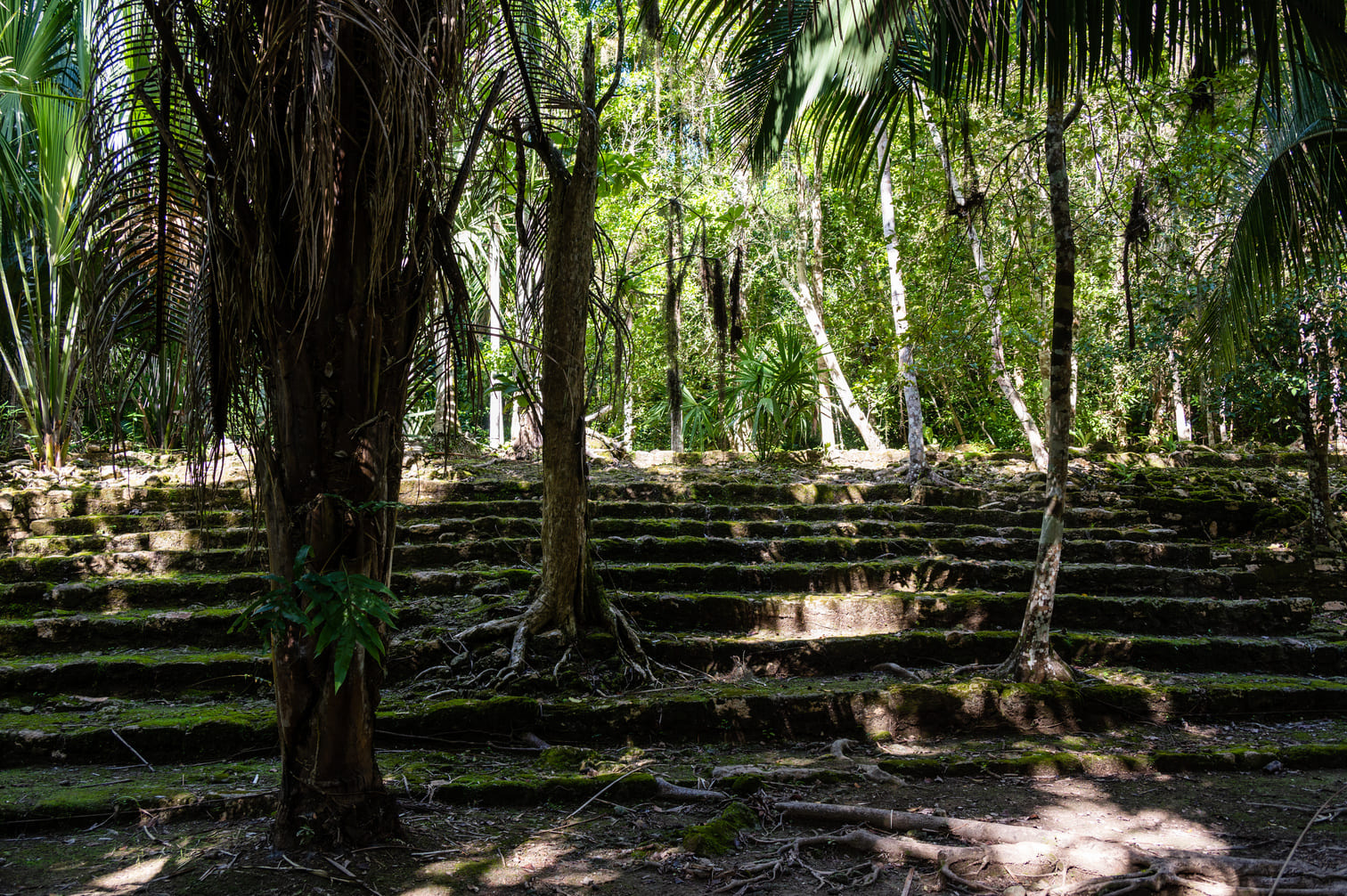 Que visiter à Bacalar : top 10 des activités à faire ou à voir !