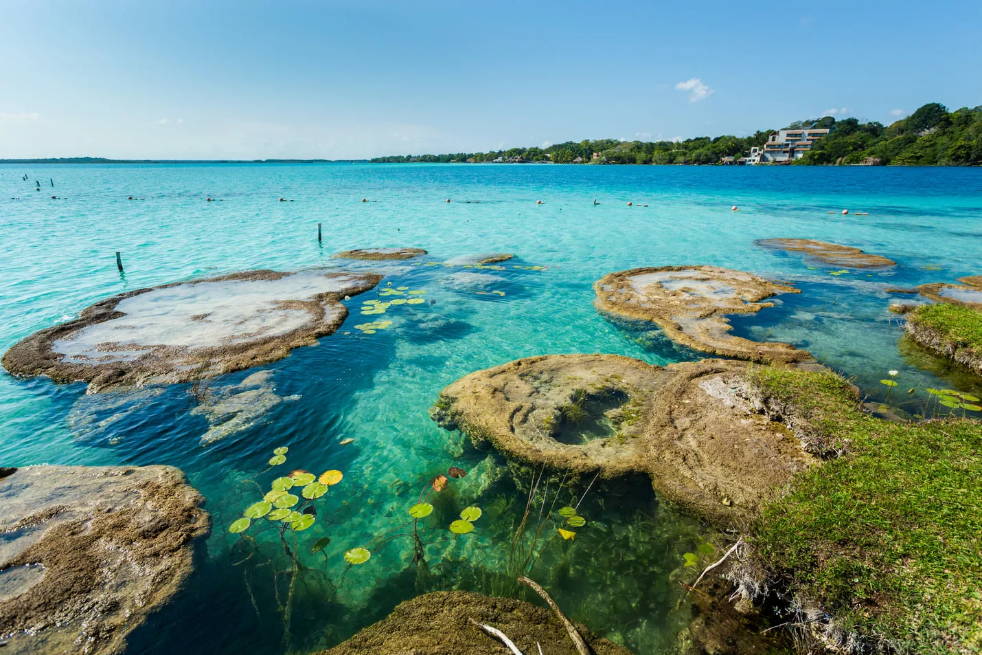 Stromatolite à Bacalar