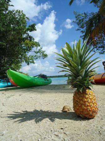 Que faire à Bacalar en 2025 : Guide des meilleures activités à faire ou à voir !