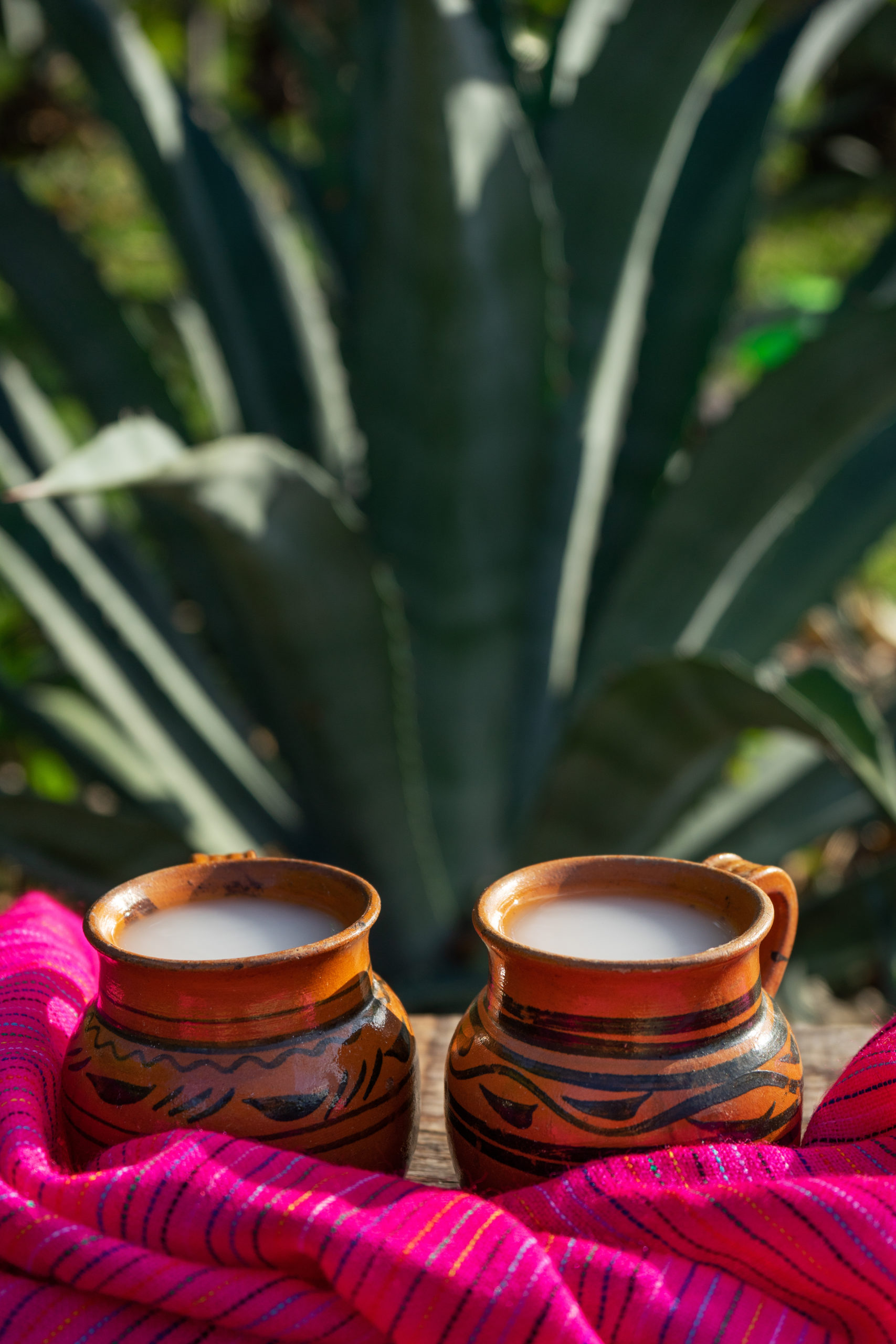 Pulque boisson mexicaine