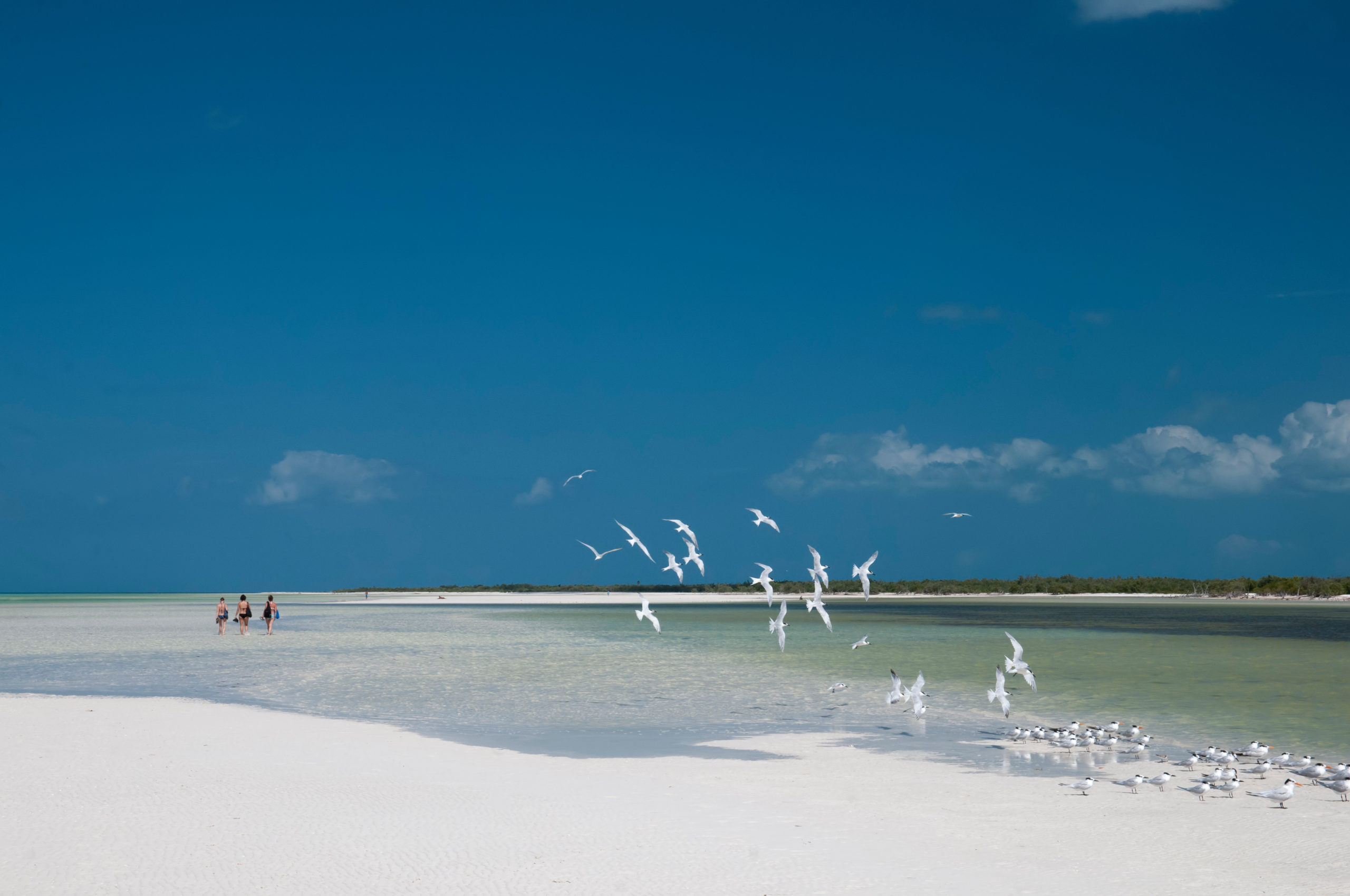 Balade à cheval à Holbox Secretoo