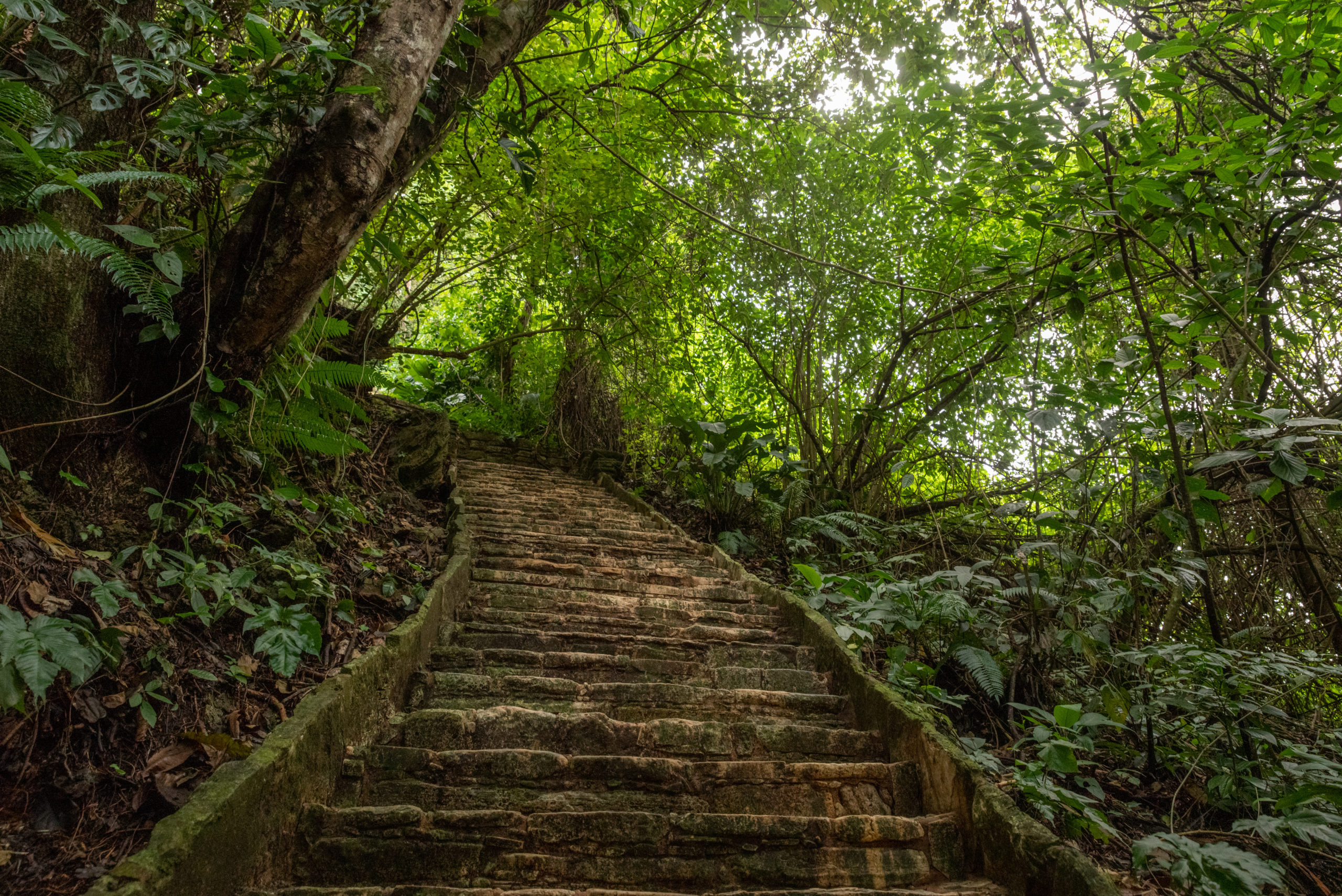 palenque chiapas