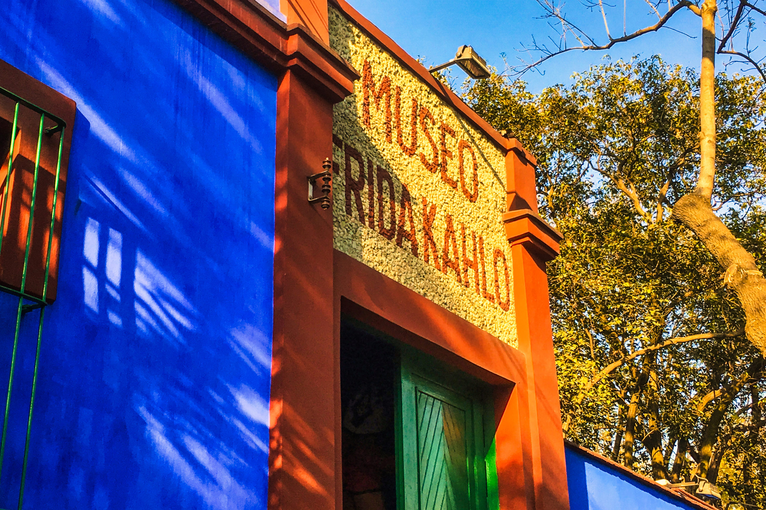 musée frida kahlo