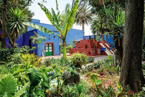 Visite Coyoacan avec guide francophone