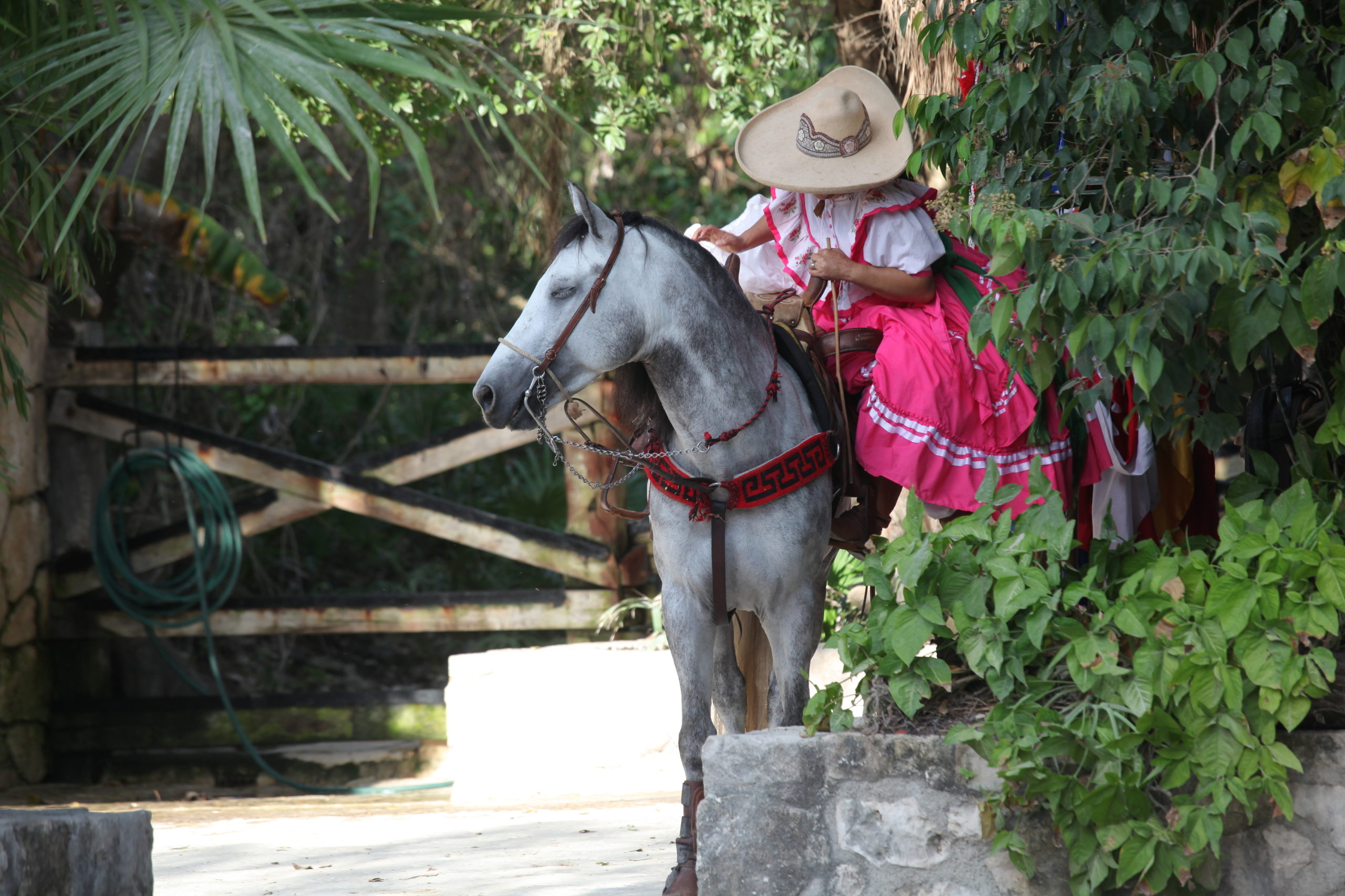 balade cheval playa del carmen