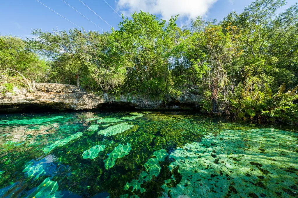 Cenote Dos Ojos
