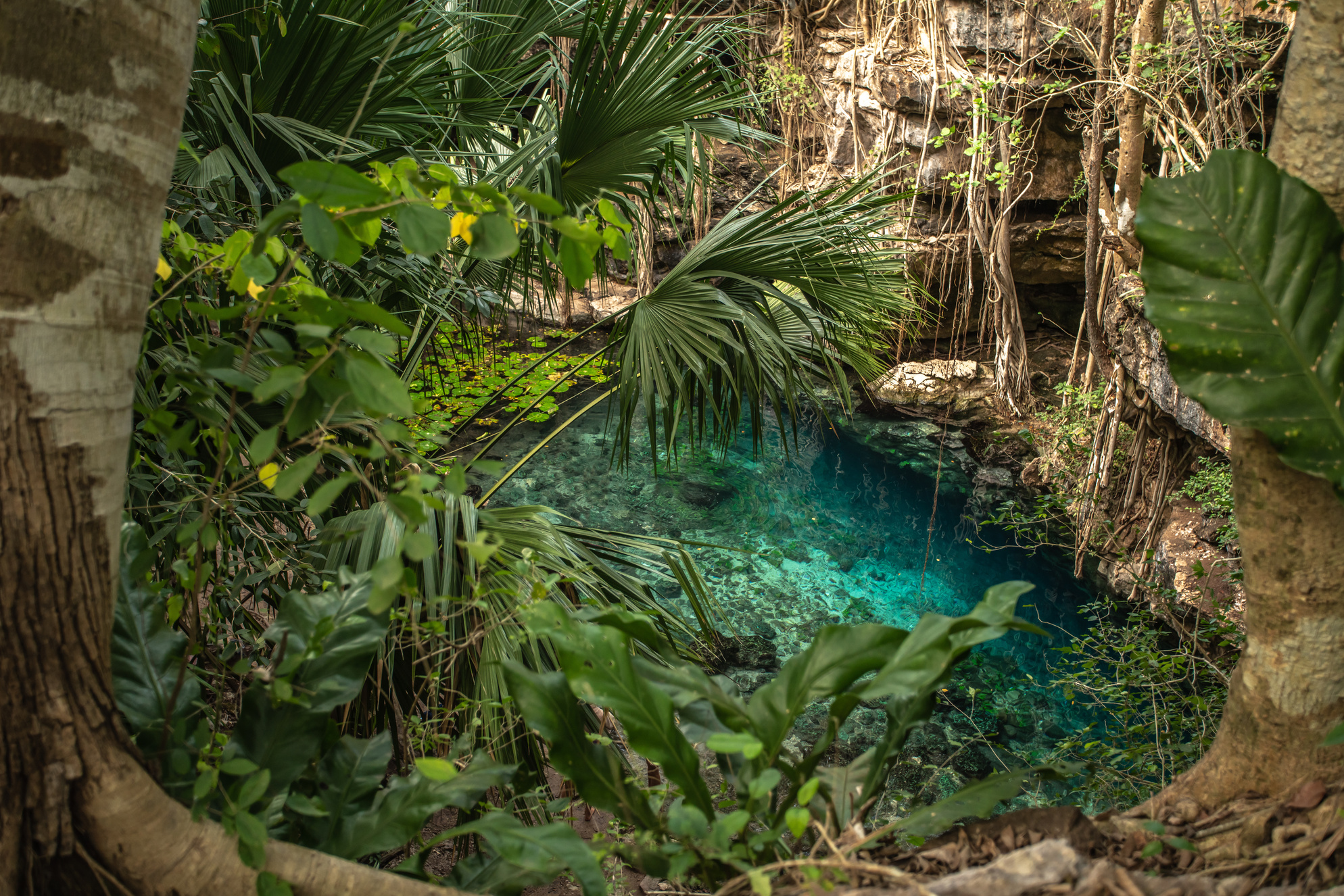 excursions yucatan