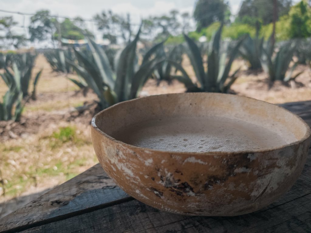 Visite fabrication pulque Teotihuacan Secretoo
