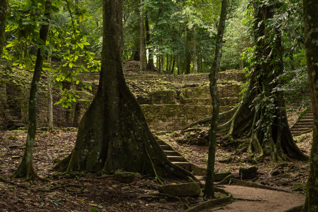 Visiter la cité maya de Palenque au Mexique