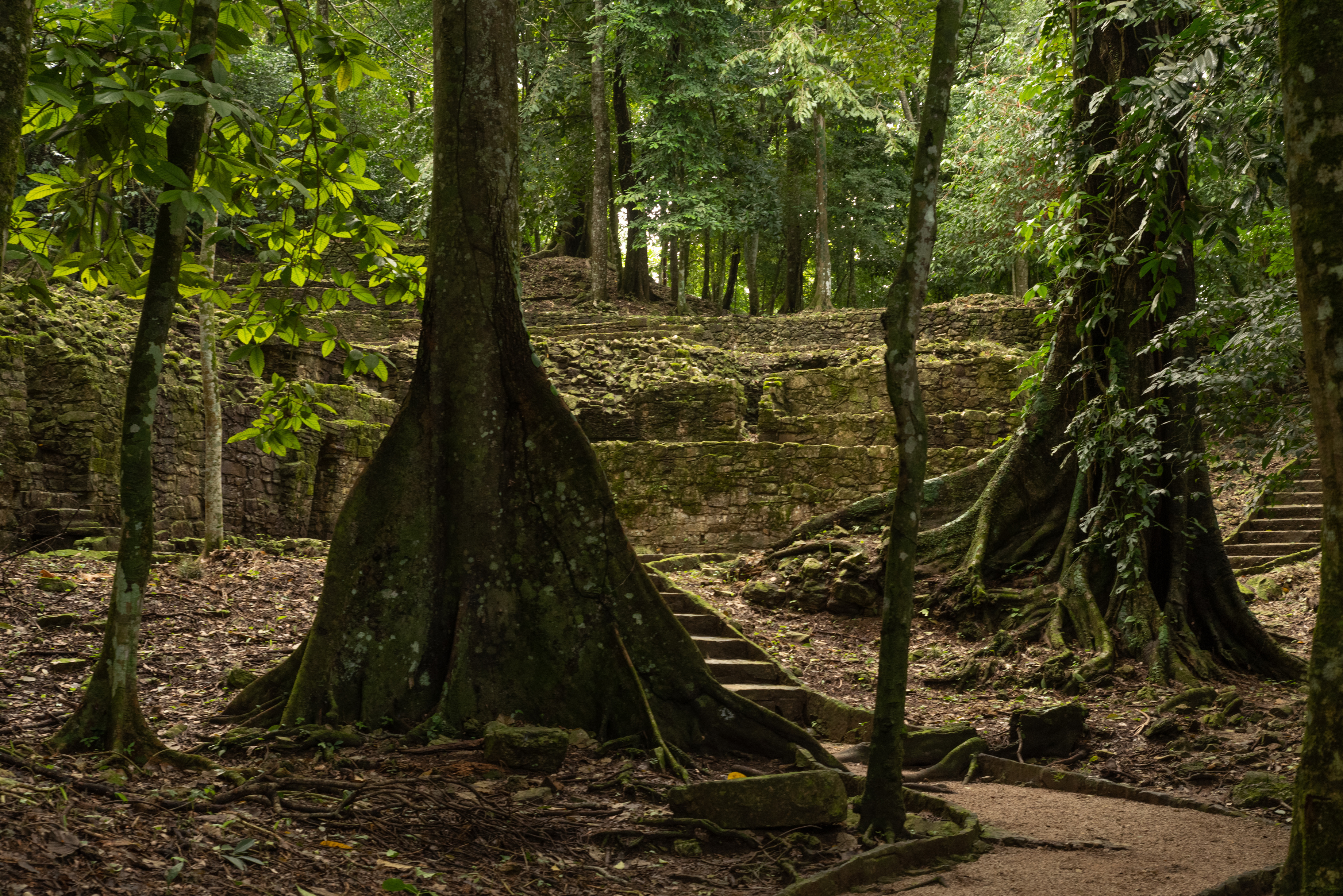 Visiter les cascades d'Agua Azul à Palenque