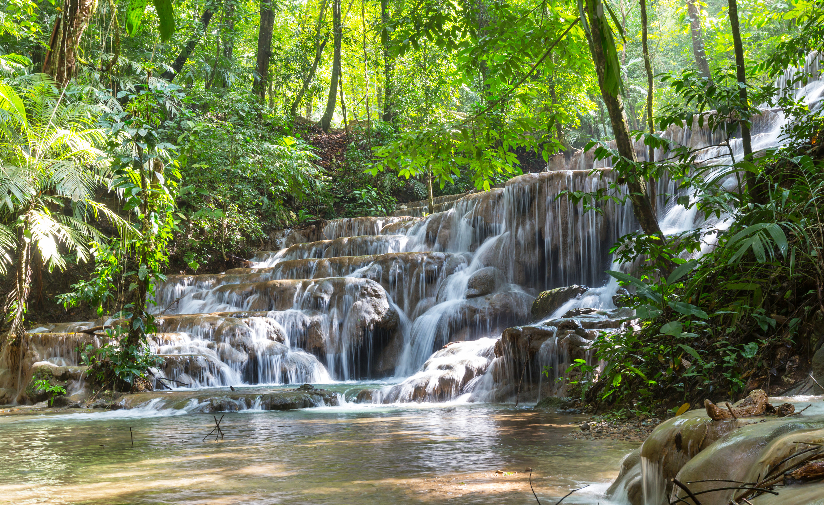 palenque chiapas