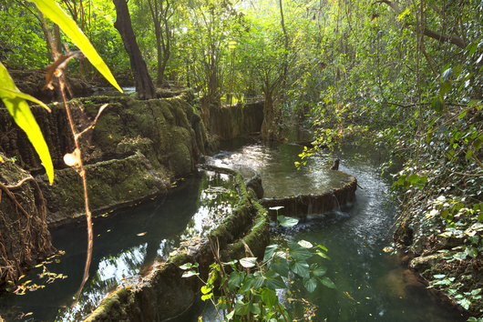 bonampak yaxchilan lacandon