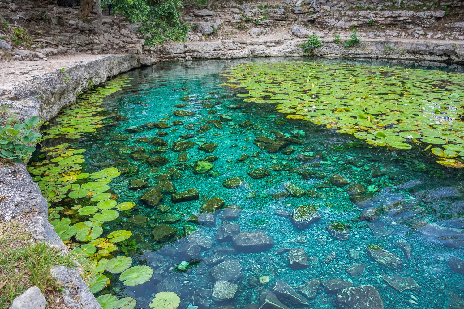 Cenote à Mérida