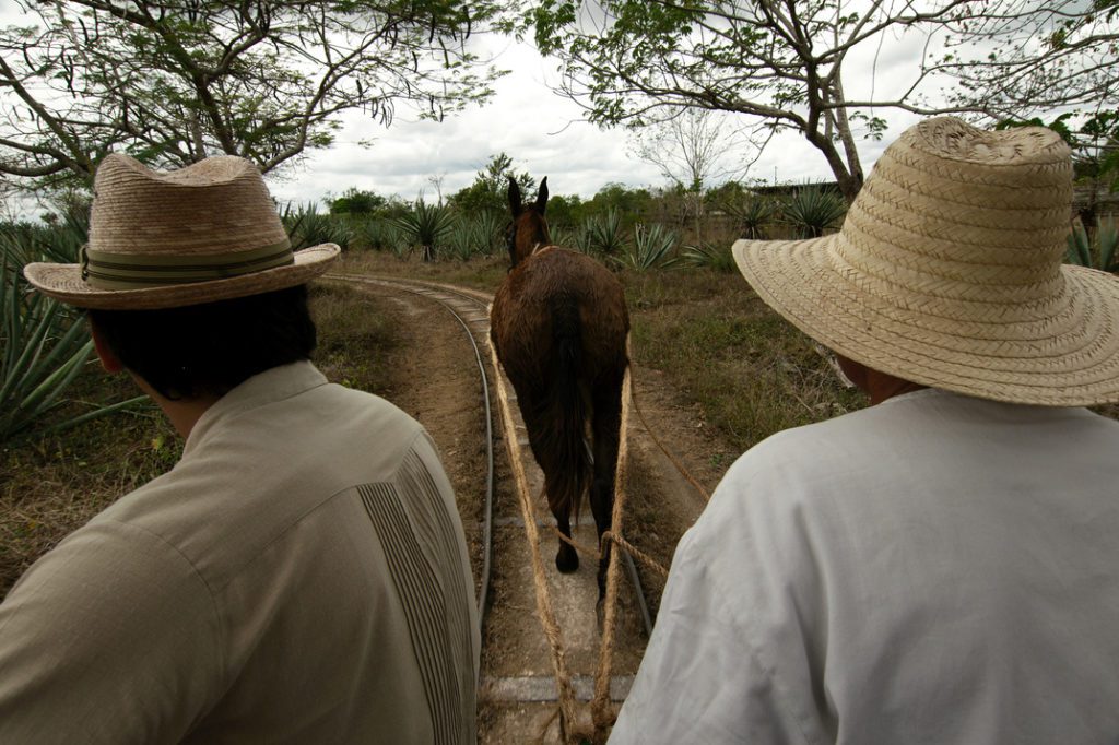 Hacienda mérida