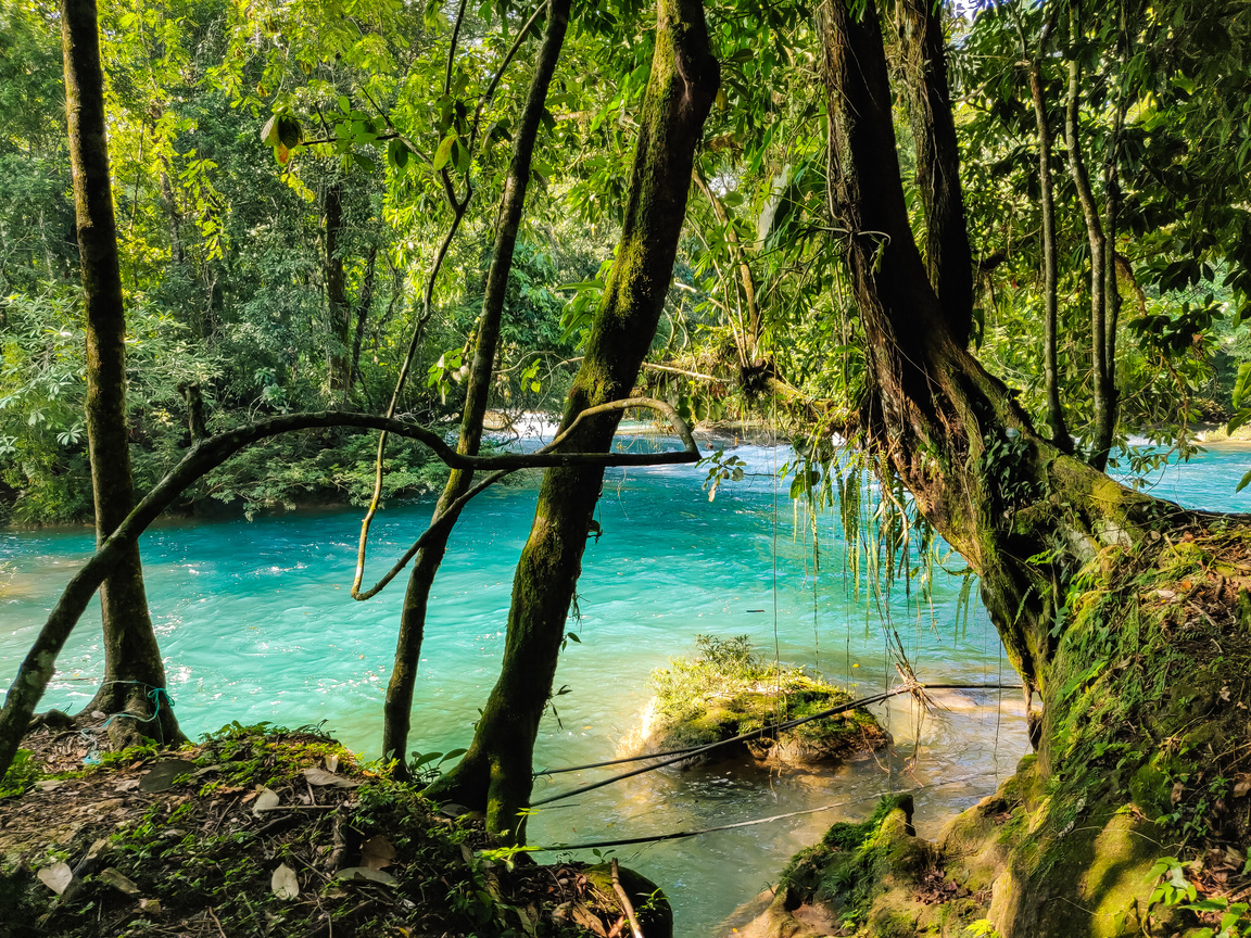 Visiter les cascades d'Agua Azul à Palenque