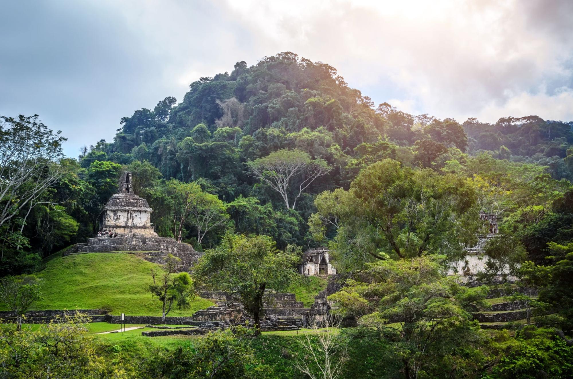 visiter palenque