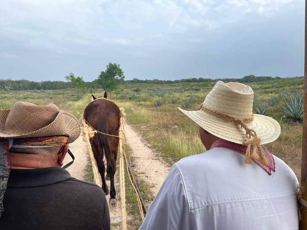Balade à cheval